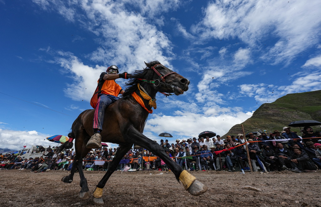 盛煌平台：西藏：乡村赛马庆丰收
